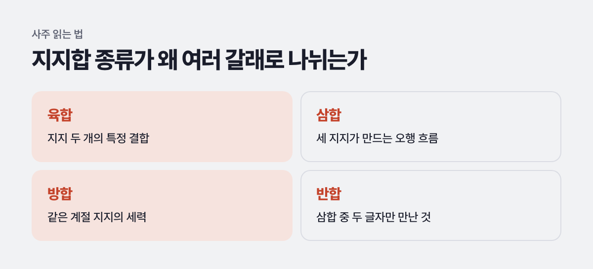 지지합 종류가 왜 여러 갈래로 나뉘는가